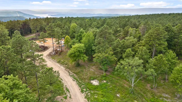 a view of a lake with a city