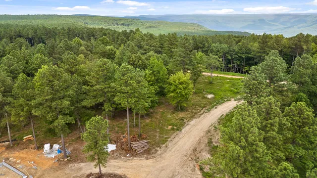 a view of a lake with a city