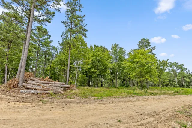 a backyard of a house with lots of green space