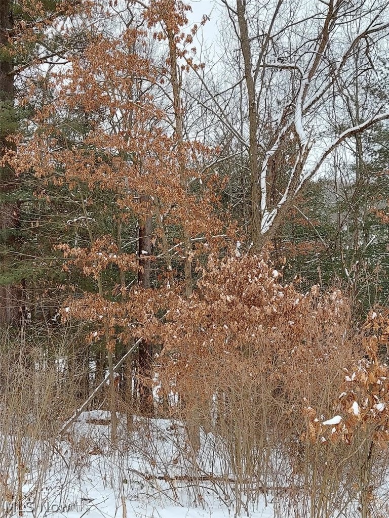 16567 Liberty Road Southwest Newcomerstown, OH 43832 - Photo 20 of 35 Gallery Image 20
