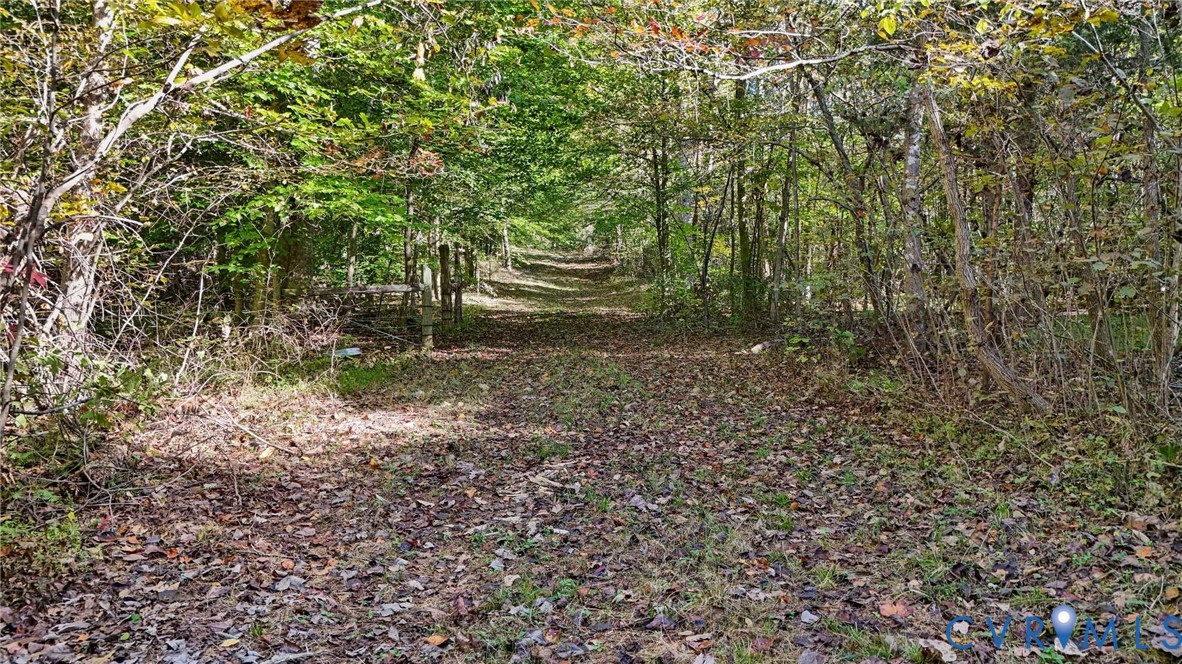 0 Allen Rosen Road Dillwyn, VA 23936 - Photo 18 of 18 Gallery Image 18