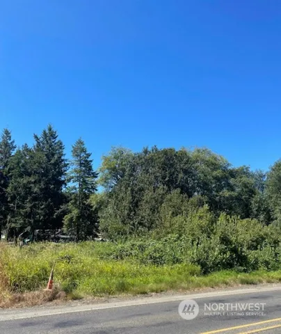 a view of a yard with a tree