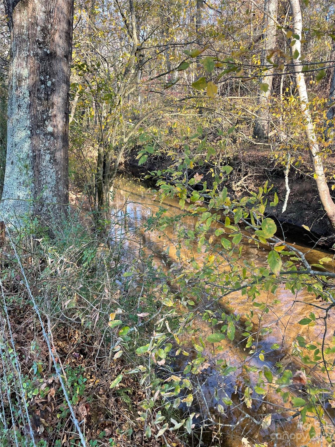 4 Morningstar Lake Road Forest City, NC 28043 - Photo 10 of 10 a view of a yard with a tree