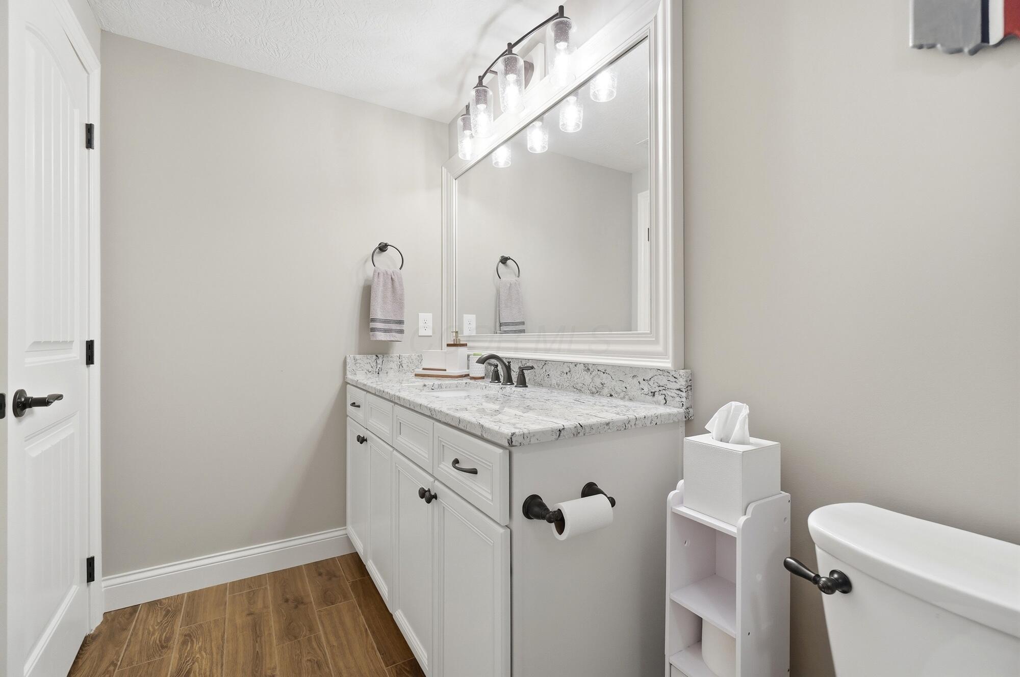 4430 Rammelsberg Drive Galena, OH 43021 - Photo 53 of 74 Full Bathroom