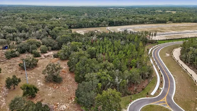 a view of a swimming pool with a yard