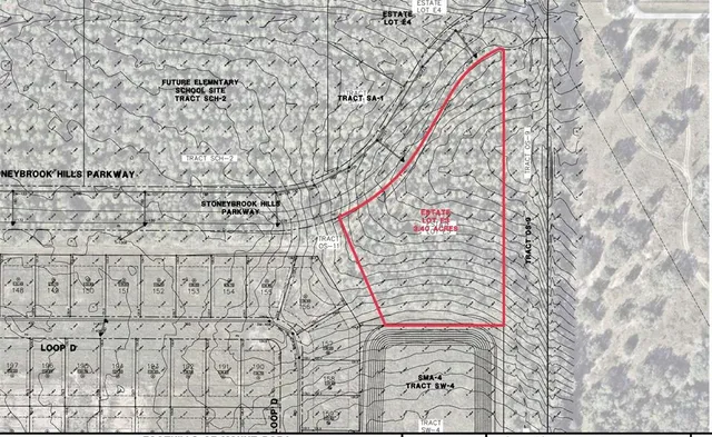 a view of a dry yard