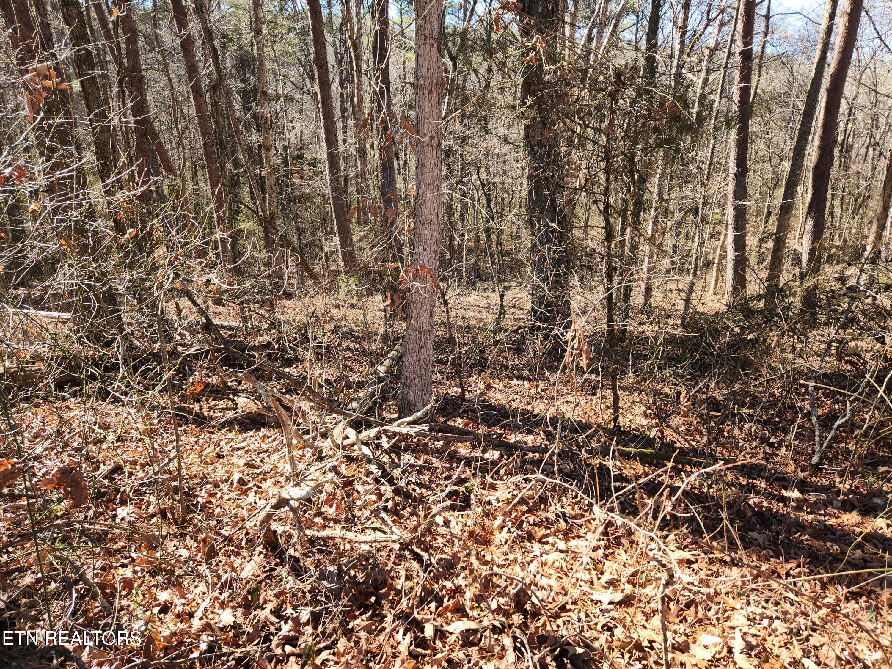 Creek Road Sweetwater, TN 37874 - Photo 4 of 8 20251215_123753