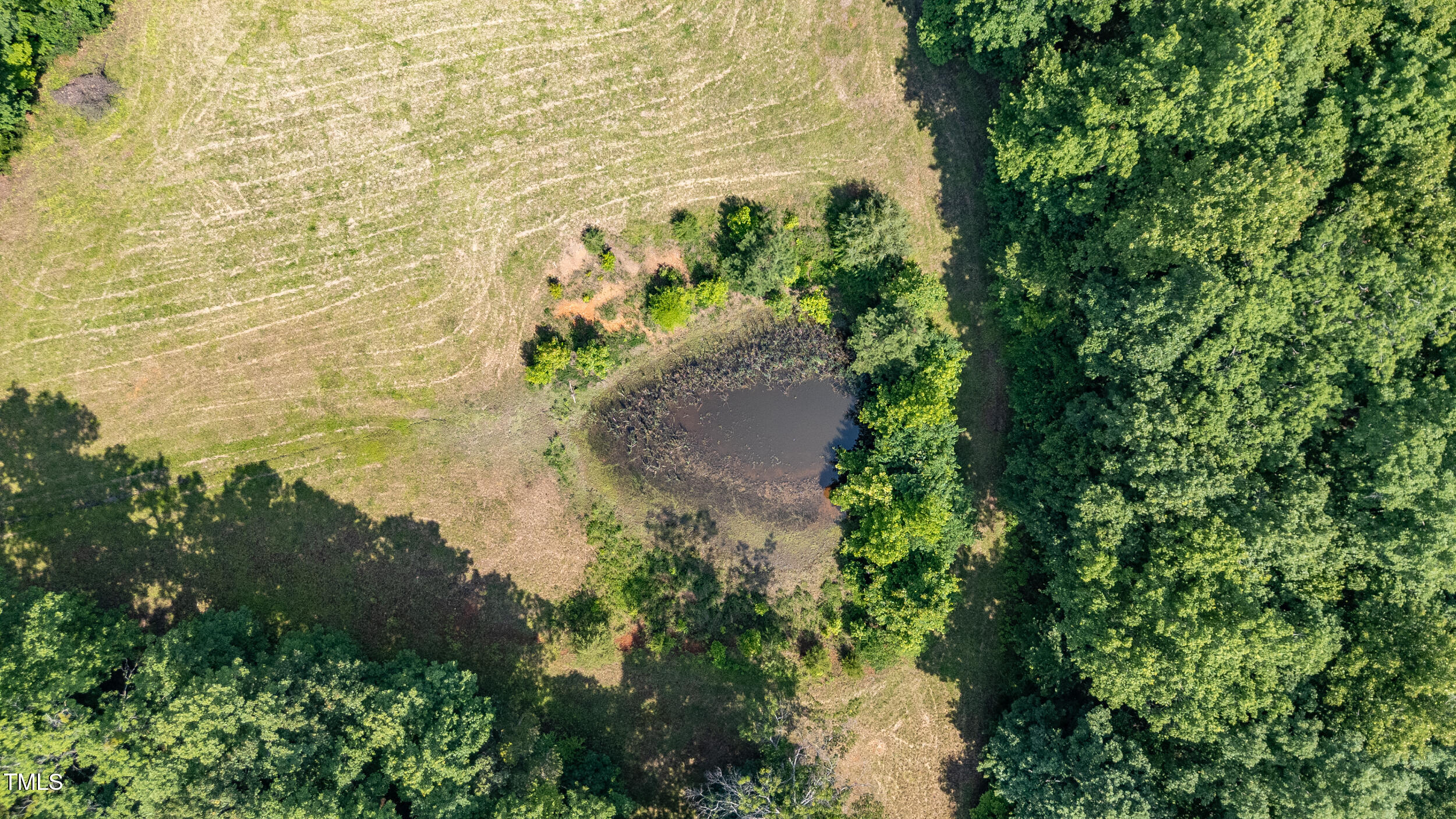 7849 Circle L Trail Rougemont, NC 27572 - Photo 54 of 55 7849 Circle L Trail-Drone-9