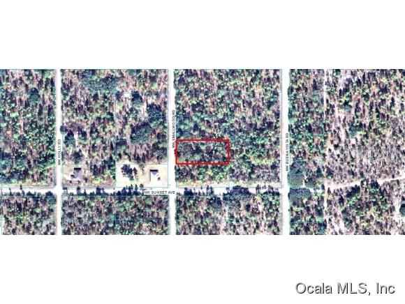 Lot 20 Northwest Lot Road Dunnellon, FL 34431 - Photo 1 of 1 Primary Photo