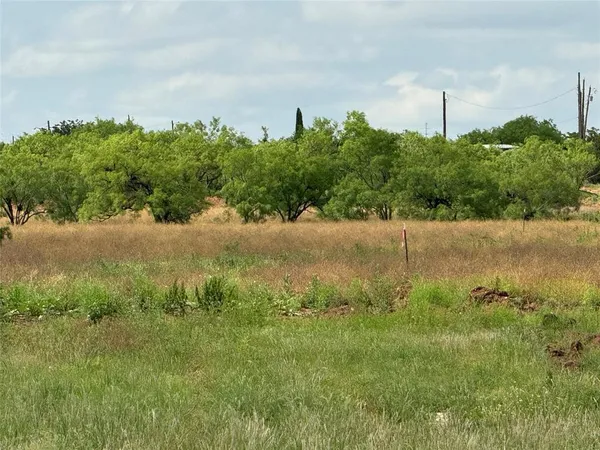 a backyard of a house with lots of green space and plants