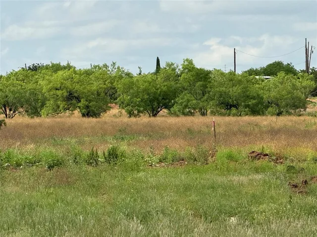 a backyard of a house with lots of green space and plants