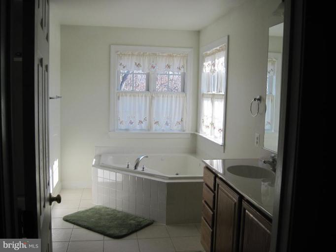 10555 Bears Den Road Marshall, VA 20115 - Photo 5 of 10 Master Bath