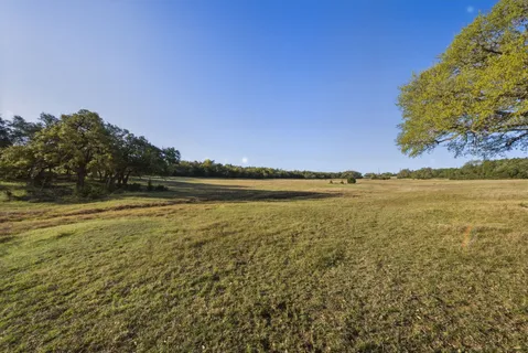 a view of wooden fence and trees around