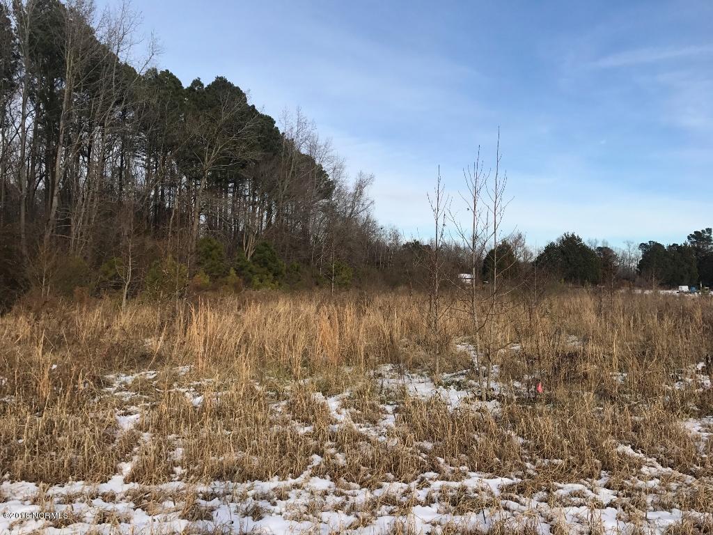 26.89 Bynum Farm Road Pinetops, NC 27864 - Photo 16 of 43 16 (1024x768)