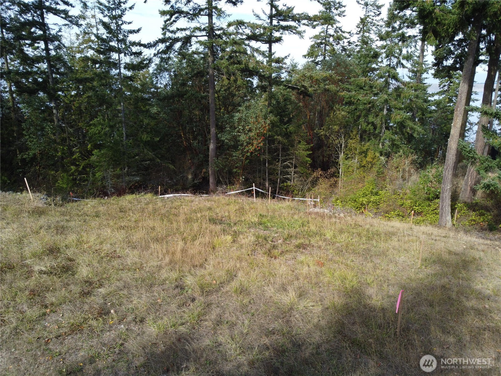 570 North Street Sequim, WA 98382 - Photo 11 of 16 a backyard of a house with trees
