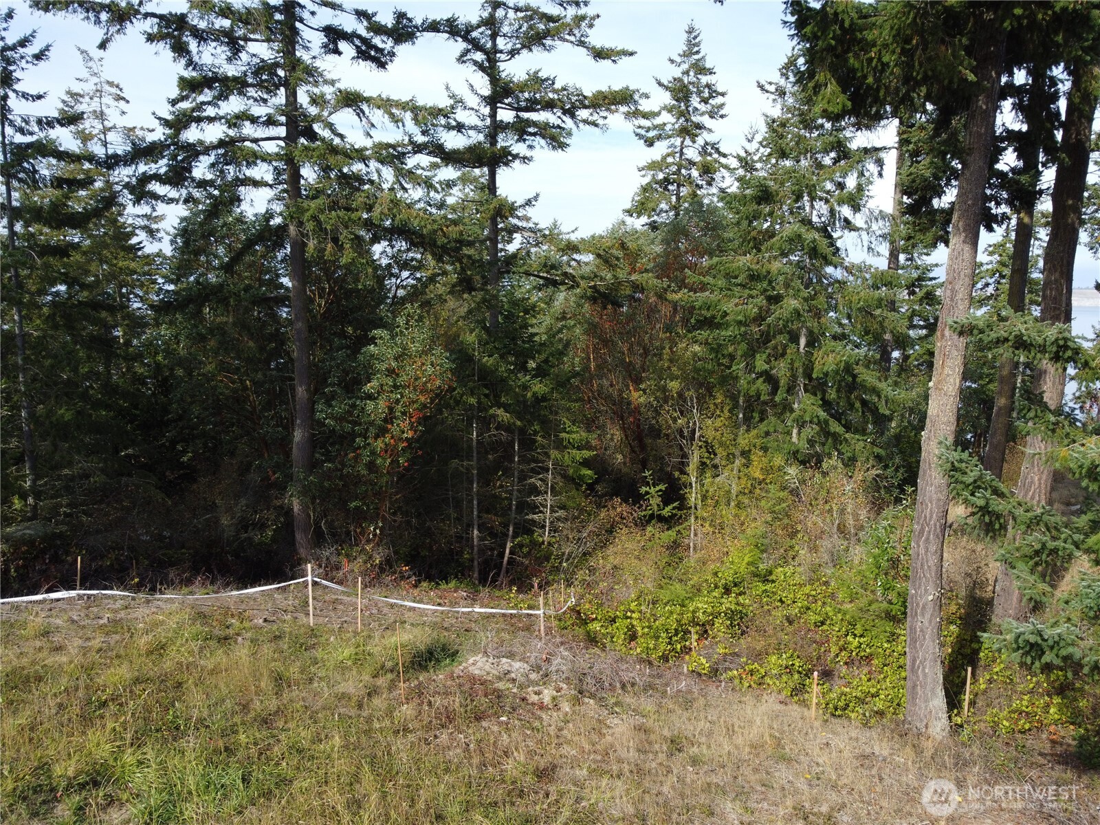 570 North Street Sequim, WA 98382 - Photo 12 of 16 a view of outdoor space and trees