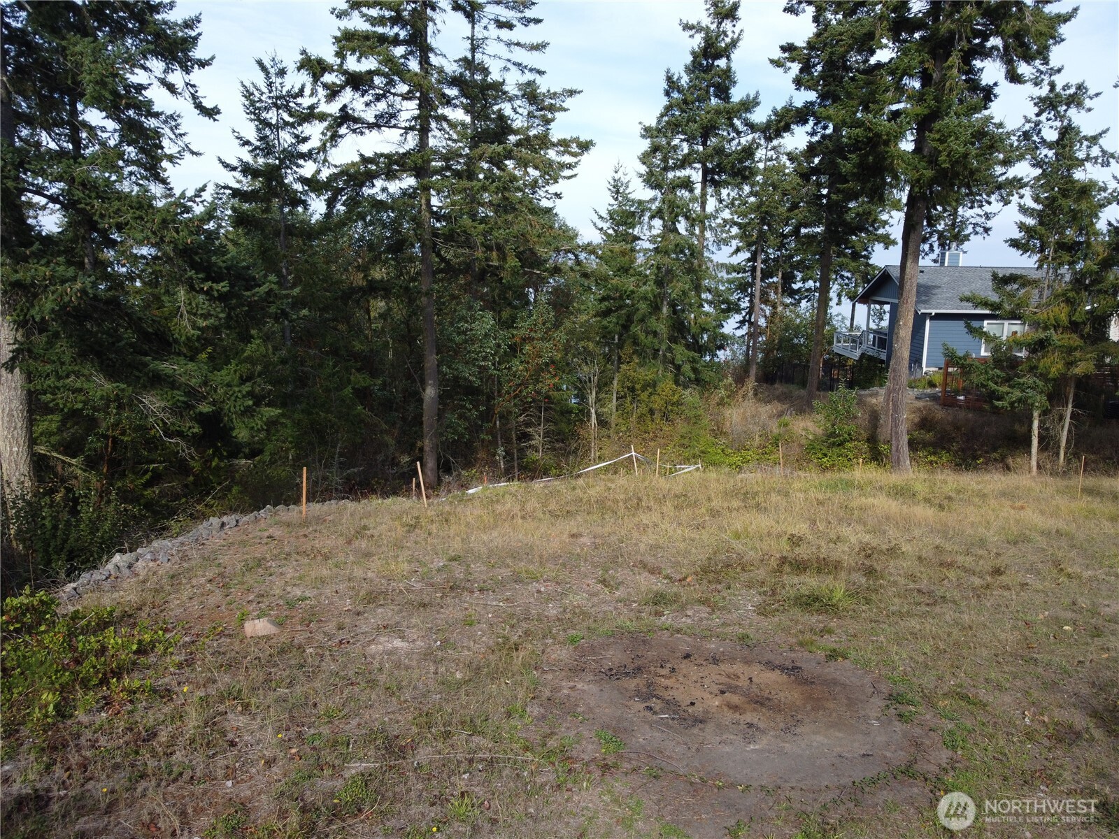 570 North Street Sequim, WA 98382 - Photo 14 of 16 a backyard of a house with lots of green space