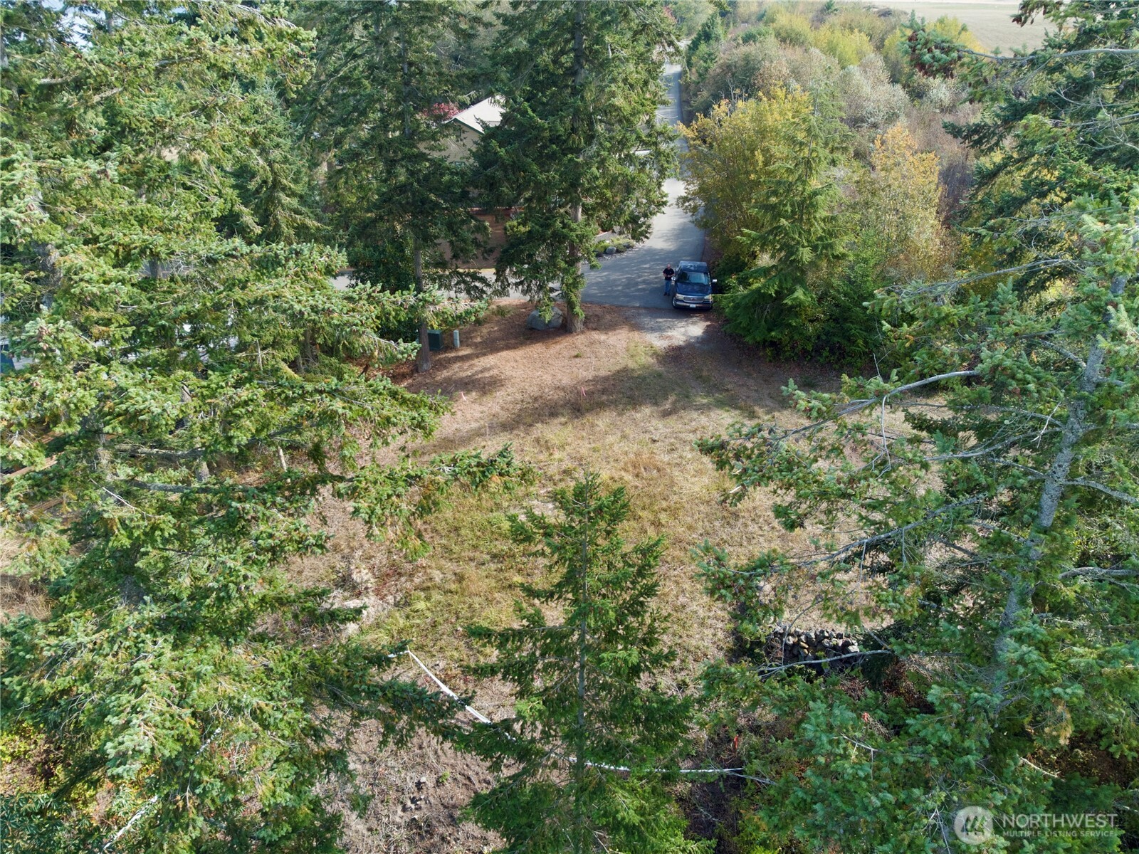 570 North Street Sequim, WA 98382 - Photo 7 of 16 a view of a forest with a tree