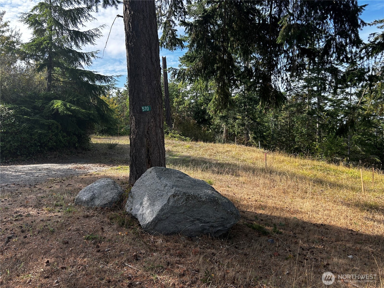 570 North Street Sequim, WA 98382 - Photo 8 of 16 a view of yard