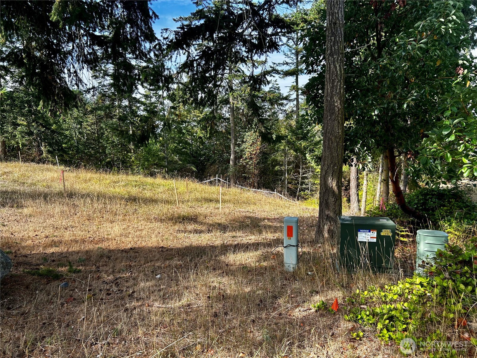 570 North Street Sequim, WA 98382 - Photo 9 of 16 a view of swimming pool with a yard