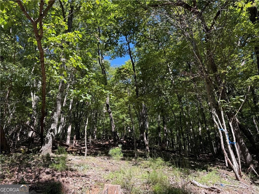 0 Moss Patch Jasper, GA 30143 - Photo 2 of 9 a backyard of a house with lots of green space