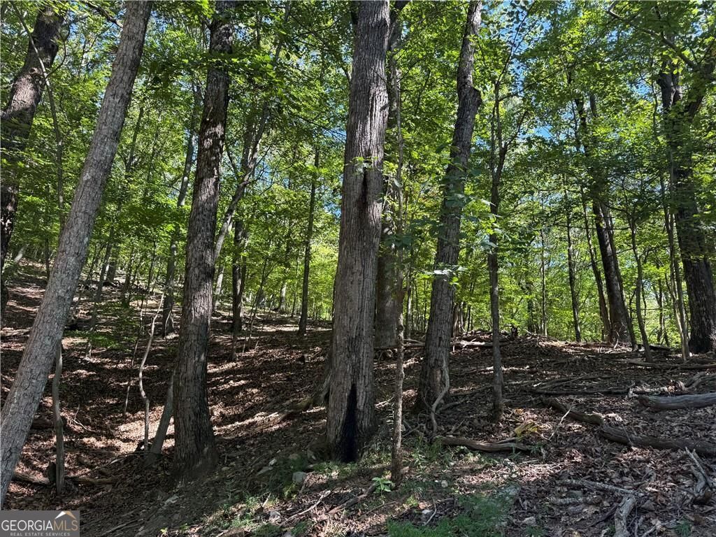0 Moss Patch Jasper, GA 30143 - Photo 3 of 9 a view of outdoor space and yard