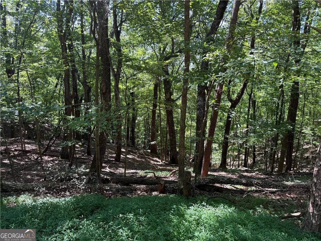 0 Moss Patch Jasper, GA 30143 - Photo 4 of 9 a view of outdoor space and yard