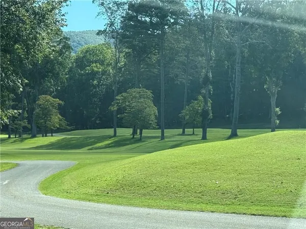 a garden view with a fountain