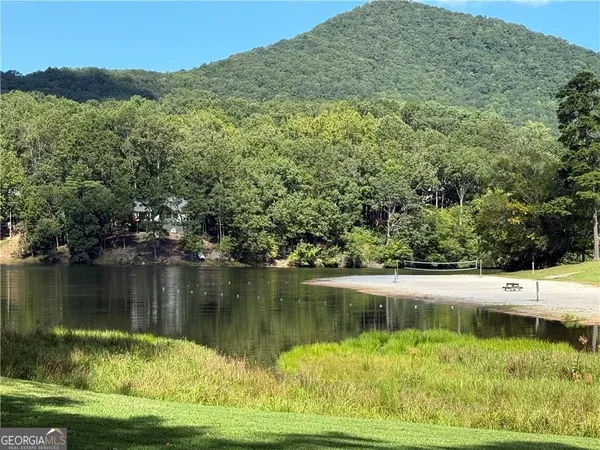 a view of a lake with a mountain in the background