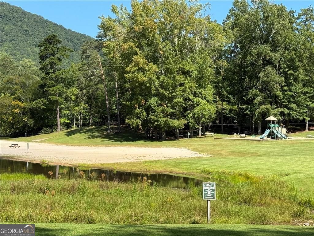 0 Moss Patch Jasper, GA 30143 - Photo 9 of 9 a view of a big yard