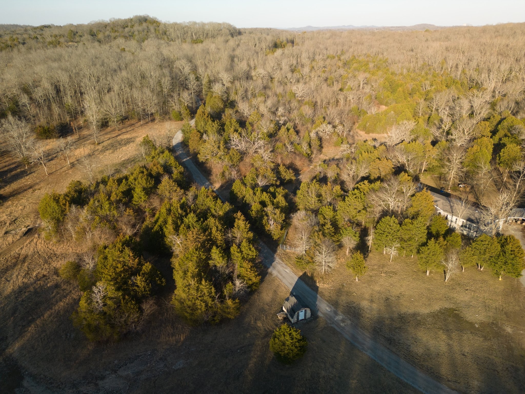 318 Athens Road Lebanon, TN 37087 - Photo 22 of 30 a view of a yard with trees