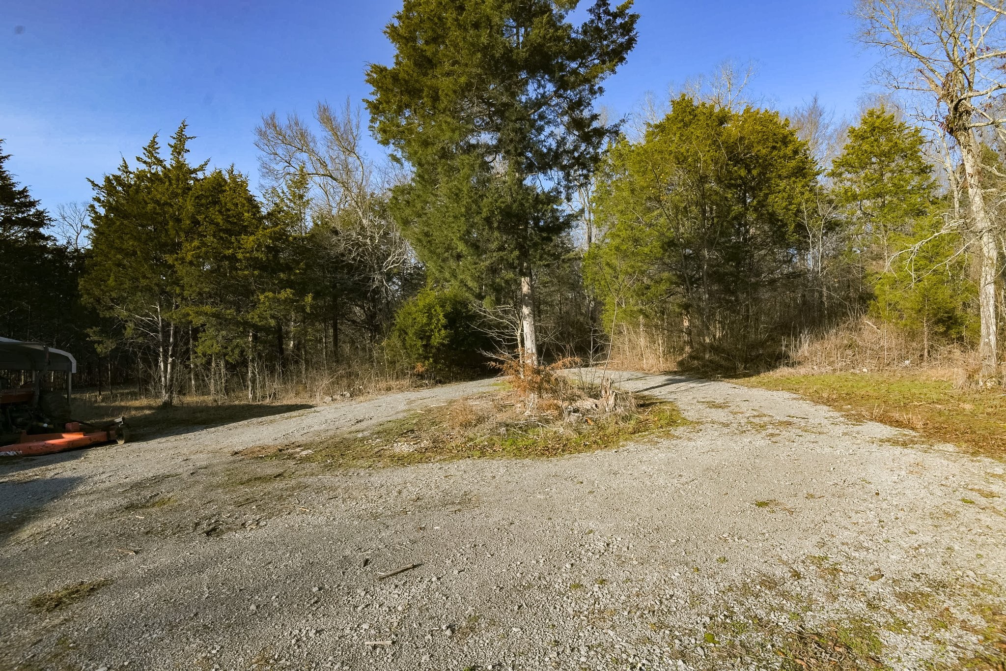 318 Athens Road Lebanon, TN 37087 - Photo 27 of 30 a view of a yard with a tree
