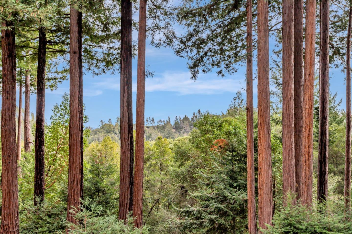 12845 Love Creek Road Ben Lomond, CA 95005 - Photo 49 of 61