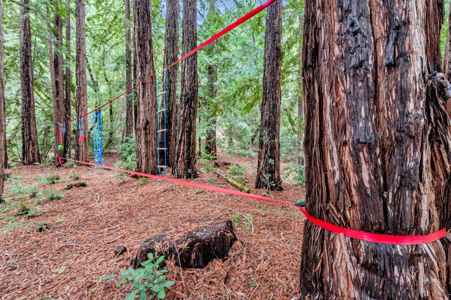 12845 Love Creek Road Ben Lomond, CA 95005 - Photo 51 of 61 a view of a backyard with wooden fence