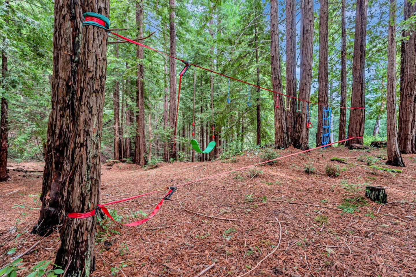 12845 Love Creek Road Ben Lomond, CA 95005 - Photo 52 of 61 a view of a backyard with palm trees