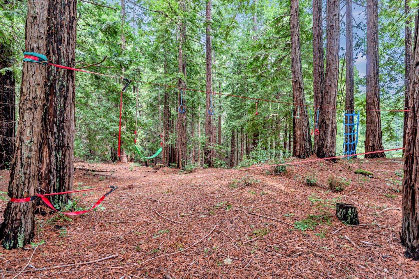 12845 Love Creek Road Ben Lomond, CA 95005 - Photo 53 of 61 a view of a road with trees