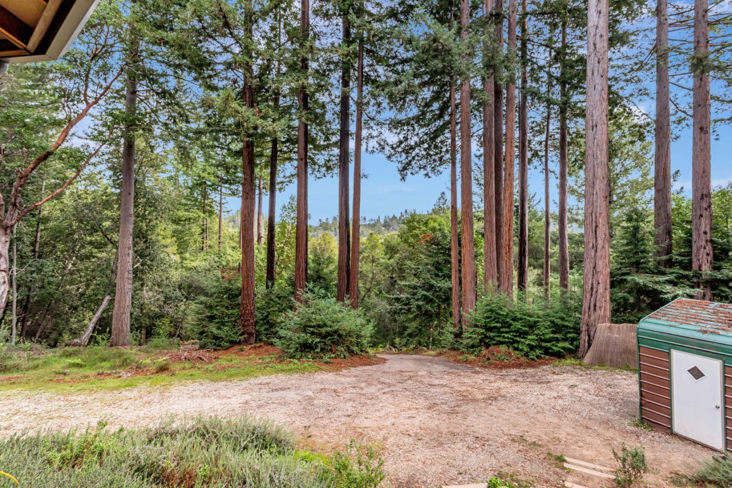 12845 Love Creek Road Ben Lomond, CA 95005 - Photo 57 of 61 a view of a backyard with plants and large trees