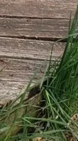 $89,900 | 309 East 12th Avenue, El Dorado, KS 67042