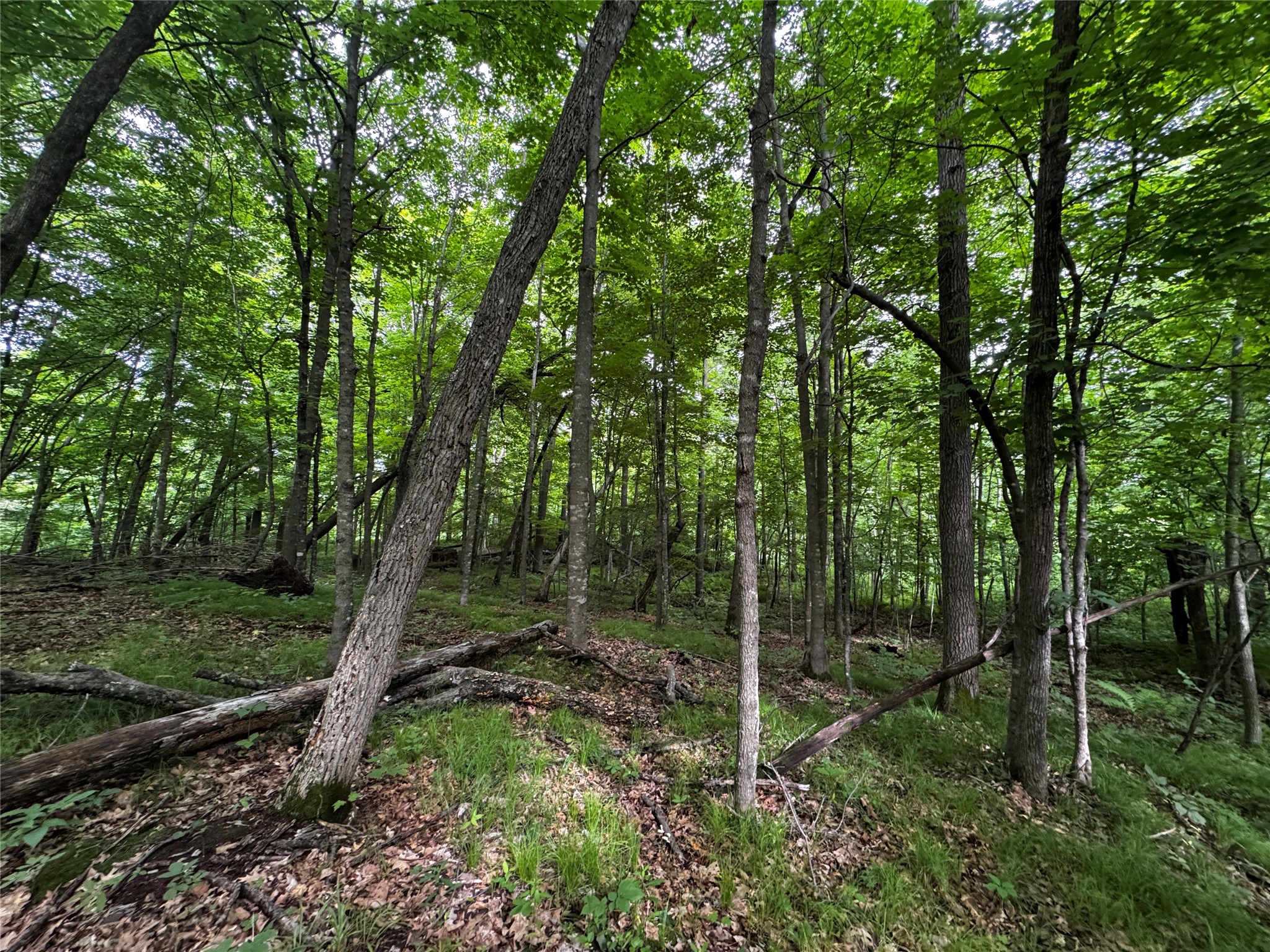 0 235th Avenue Cumberland, WI 54829 - Photo 27 of 30