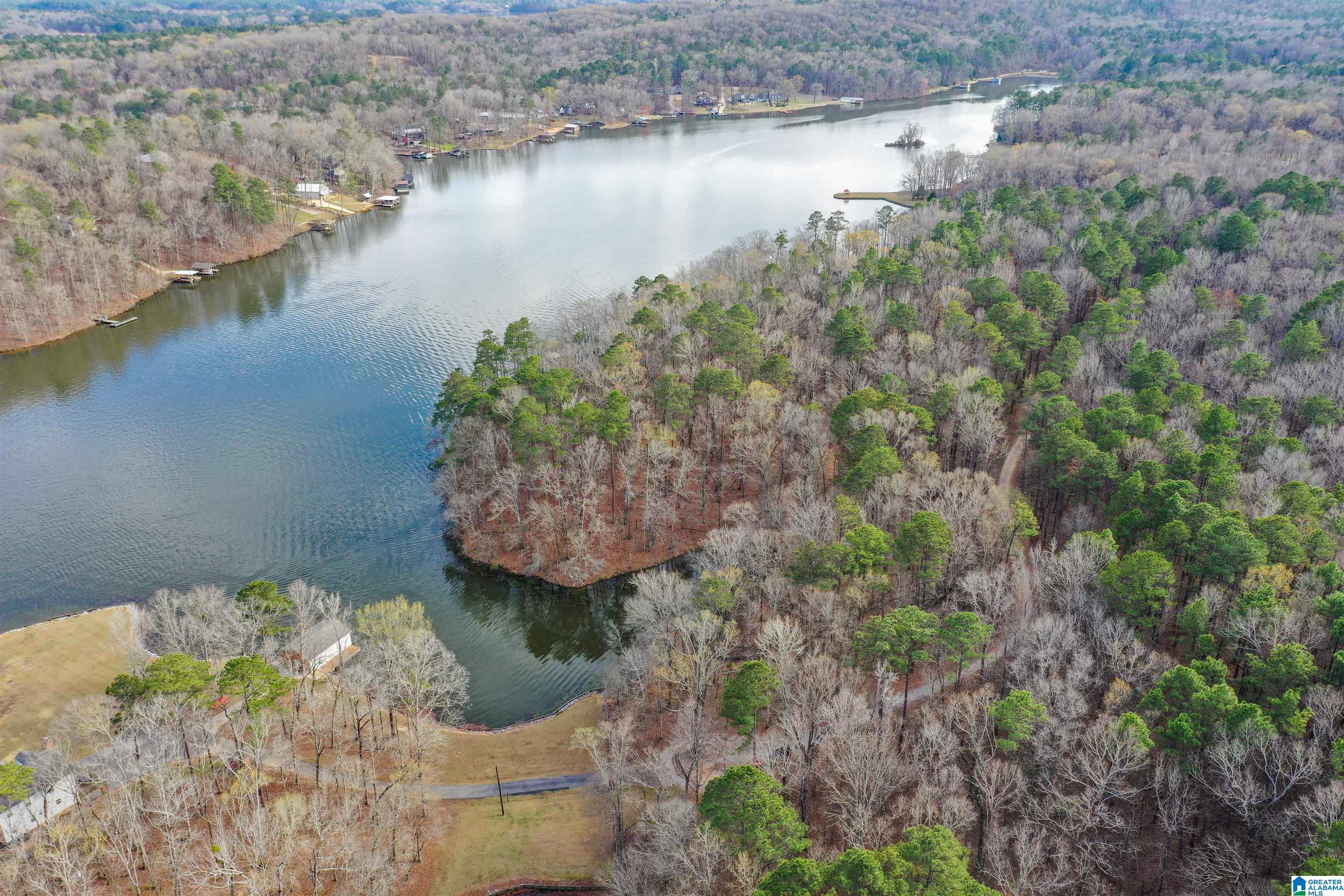 South River Road, Unit LONG Shelby, AL 35143 - Photo 13 of 21