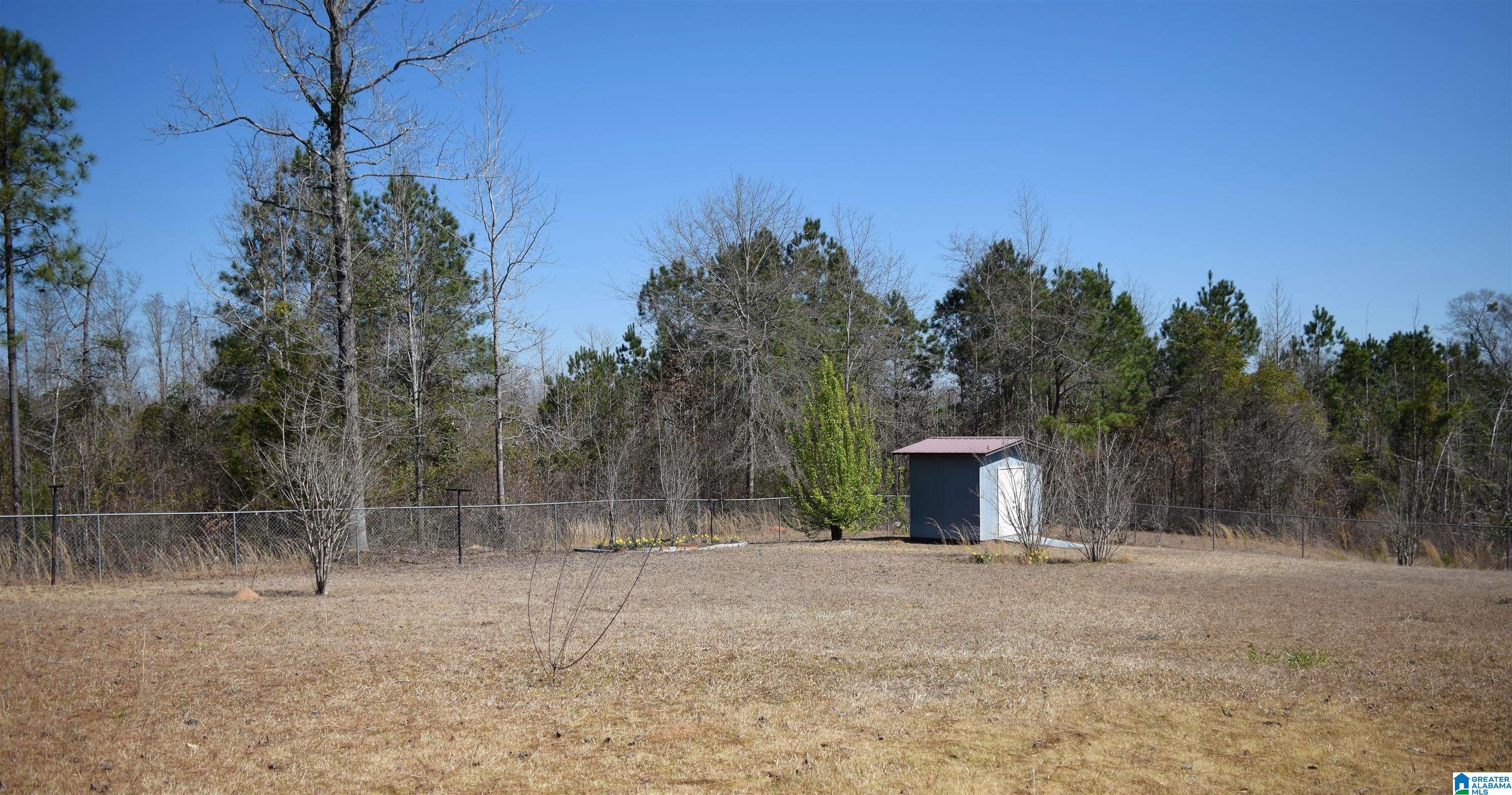 410 Springfield Avenue Lafayette, AL 36862 - Photo 4 of 14