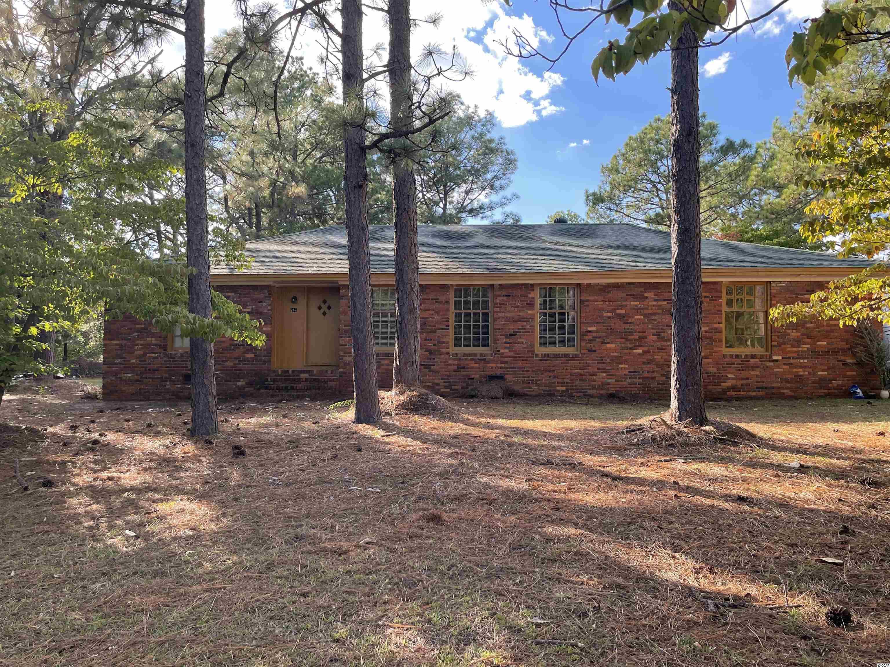217 Hampton Street East Bethune, SC 29009 - Photo 1 of 13 Gallery Image 1