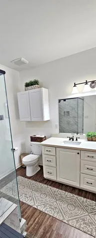 a bathroom with a sink and a toilet