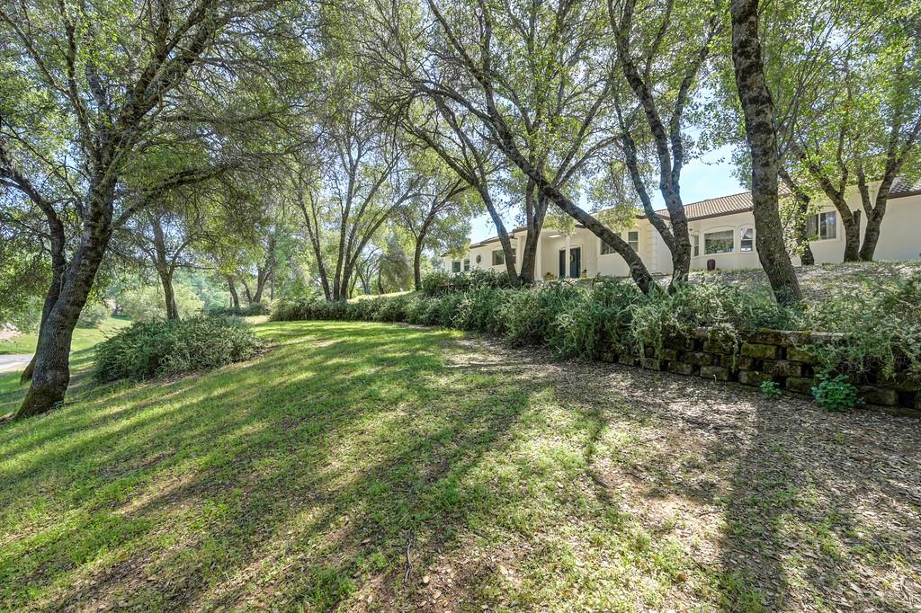3716 Murphy Ranch Road Placerville, CA 95667 - Photo 13 of 87