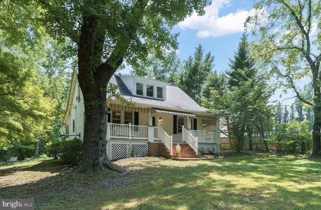 a view of a house with a yard potted plants and large tree