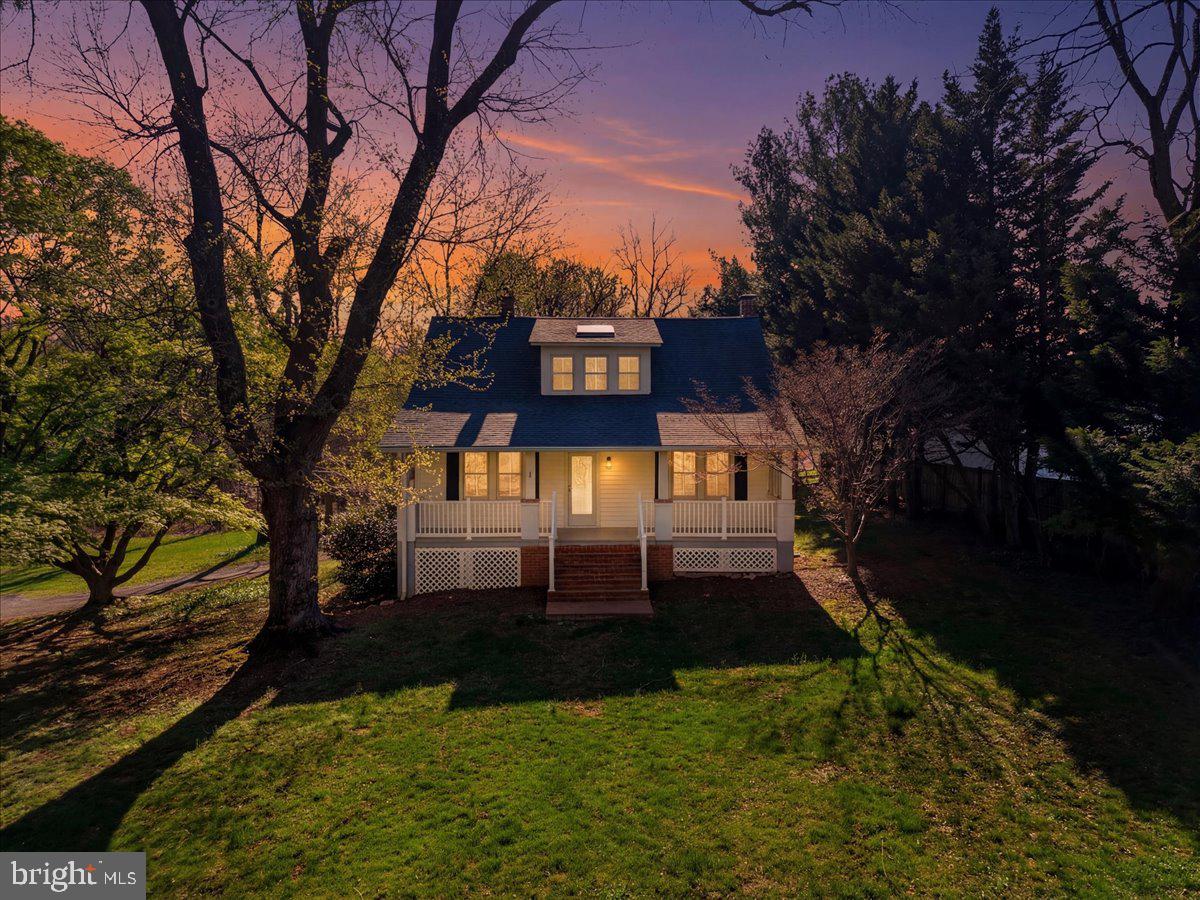 a view of a large trees with a big yard