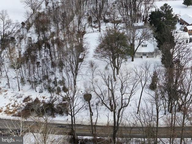 23320 Watson Road Leesburg, VA 20175 - Photo 41 of 51 a view of a yard with lots of tress
