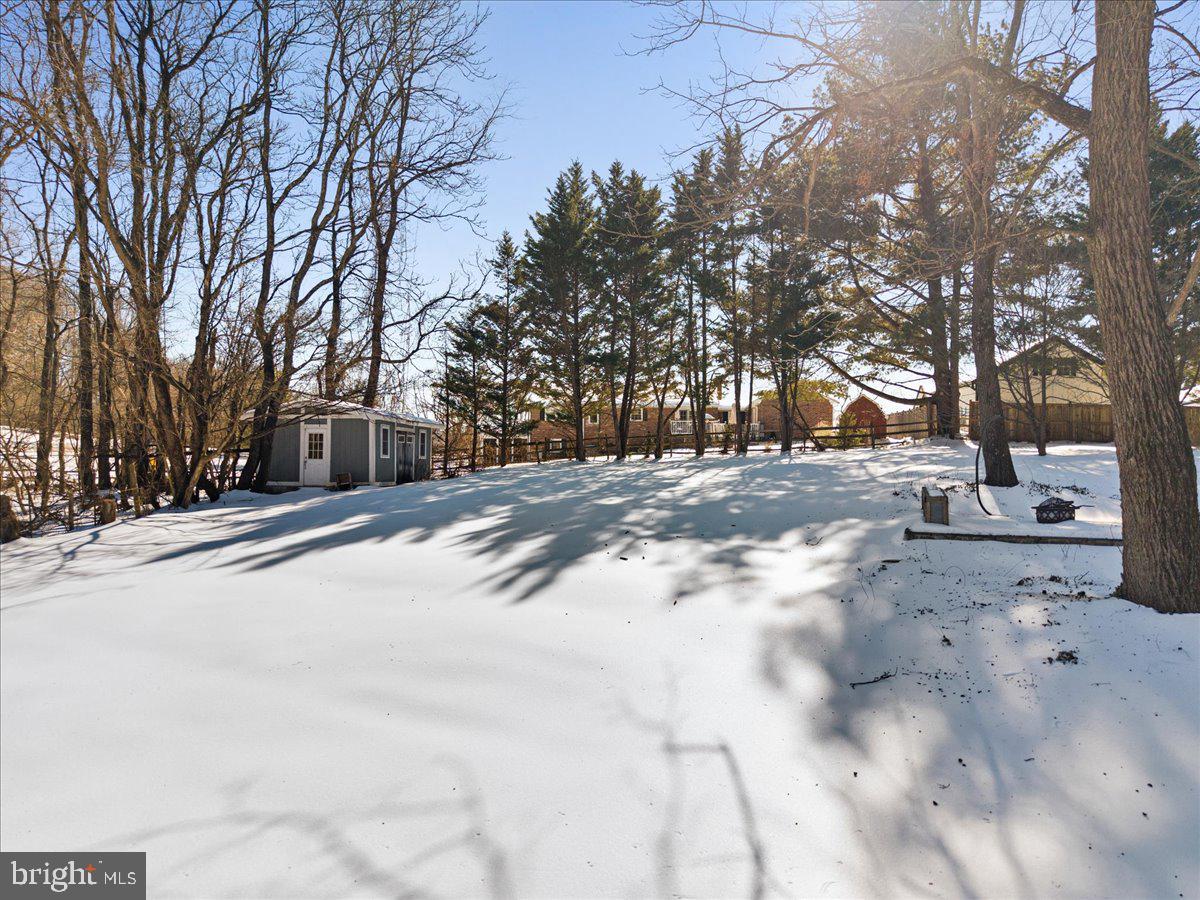 23320 Watson Road Leesburg, VA 20175 - Photo 47 of 51 a view of road with trees