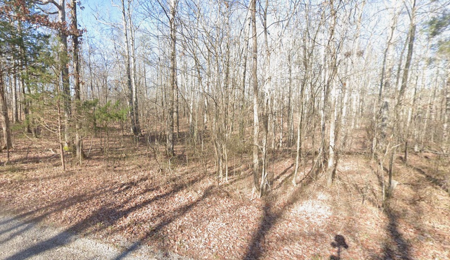 a view of a yard with trees