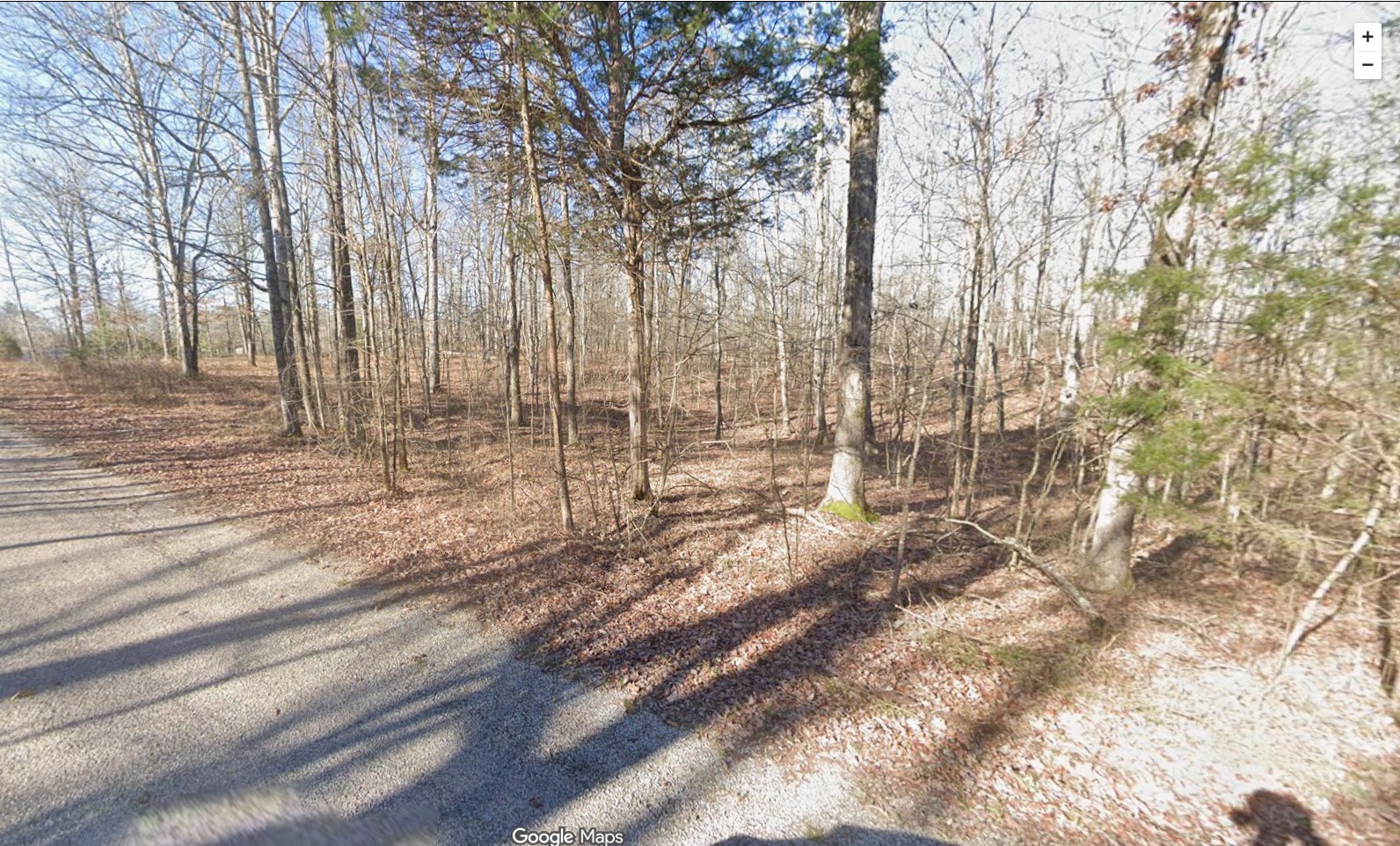 0 Webb Way Savannah, TN 38372 - Photo 2 of 9 a view of a yard with trees